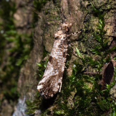 , NPP Jeskyně Pekárna