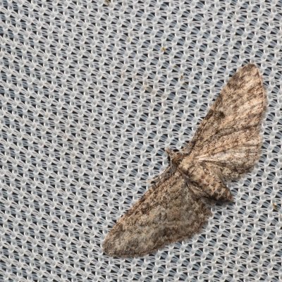 , NPP Jeskyně Pekárna