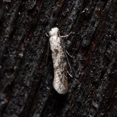 , IT, San Leonardo, Jižní Tyrolsko