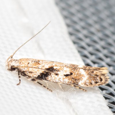 , NPP Jeskyně Pekárna