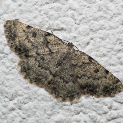 , IT, Pfelders - Plan, Jižní Tyrolsko