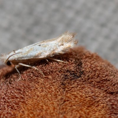 , PP Skalky u Sedlece