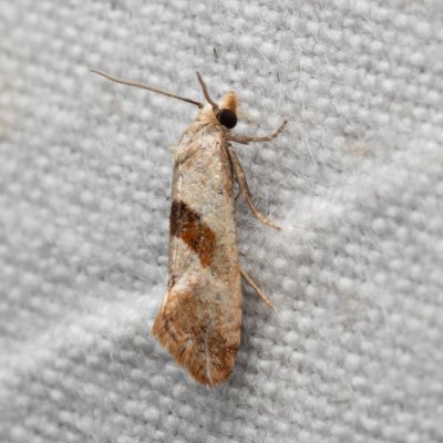 , PP Kamenný vrch u Kurdějova