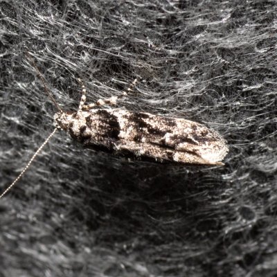 , Lysá hora u Ochozu