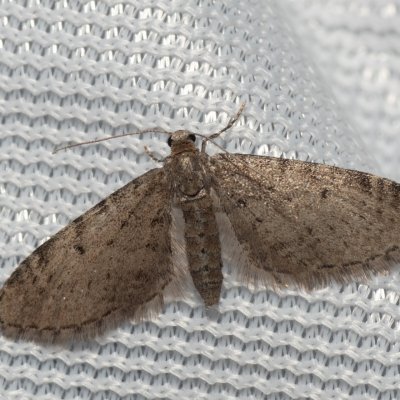 , Hády - Ruženin lom