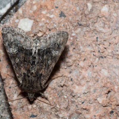 , IT, Pfelders - Plan, Jižní Tyrolsko