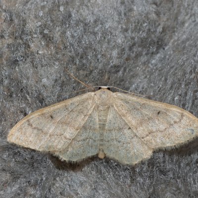 , Kateřinská jeskyně